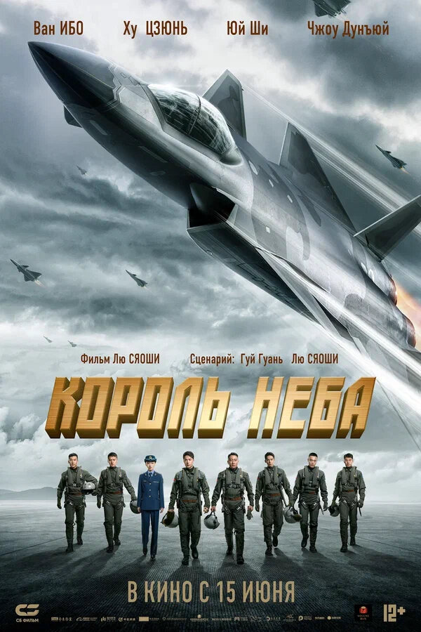 Король неба - постер фильма